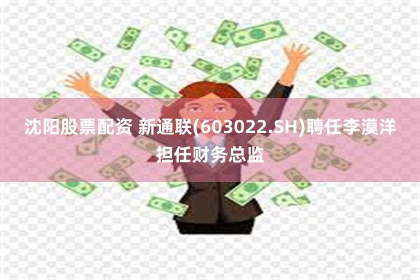 沈阳股票配资 新通联(603022.SH)聘任李漠洋担任财务总监