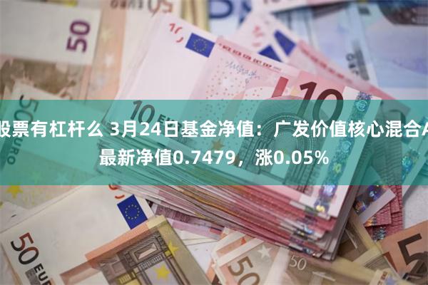 股票有杠杆么 3月24日基金净值：广发价值核心混合A最新净值0.7479，涨0.05%