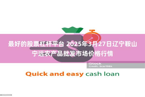 最好的股票杠杆平台 2025年3月27日辽宁鞍山宁远农产品批发市场价格行情