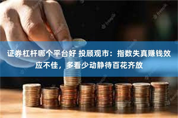 证券杠杆哪个平台好 投顾观市：指数失真赚钱效应不佳，多看少动静待百花齐放