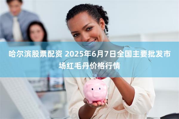 哈尔滨股票配资 2025年6月7日全国主要批发市场红毛丹价格行情