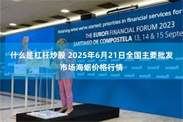 什么是杠杆炒股 2025年6月21日全国主要批发市场海蛎价格行情
