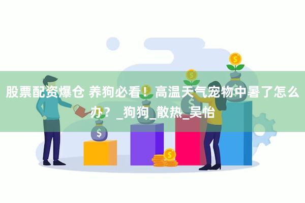 股票配资爆仓 养狗必看！高温天气宠物中暑了怎么办？_狗狗_散热_吴怡