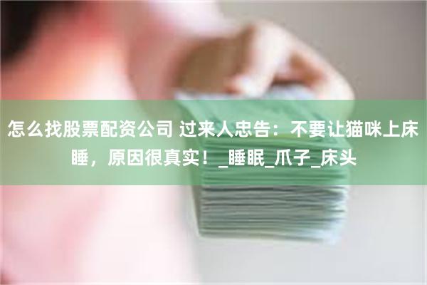 怎么找股票配资公司 过来人忠告：不要让猫咪上床睡，原因很真实！_睡眠_爪子_床头