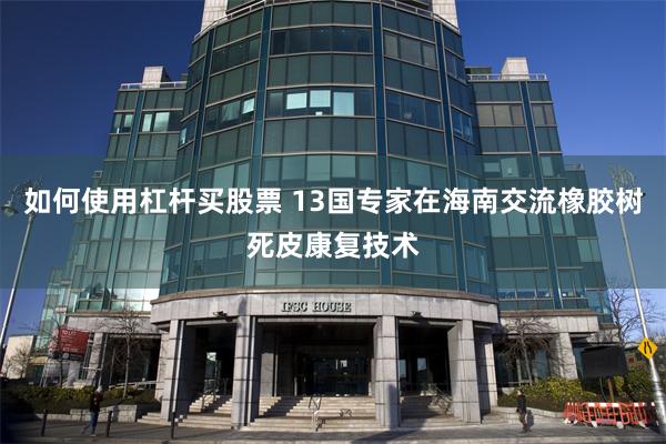 如何使用杠杆买股票 13国专家在海南交流橡胶树死皮康复技术