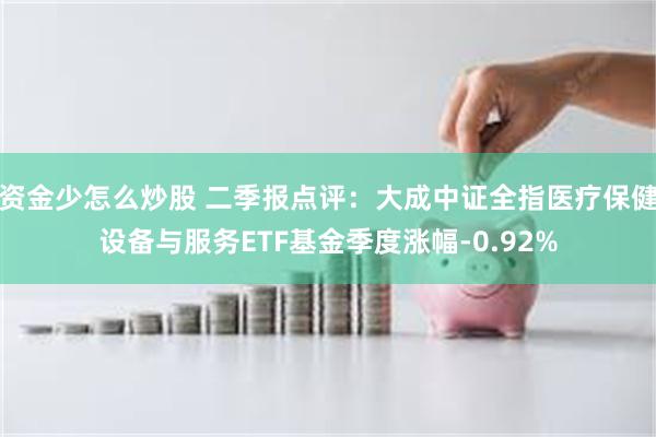 资金少怎么炒股 二季报点评：大成中证全指医疗保健设备与服务ETF基金季度涨幅-0.92%