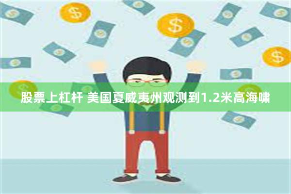 股票上杠杆 美国夏威夷州观测到1.2米高海啸
