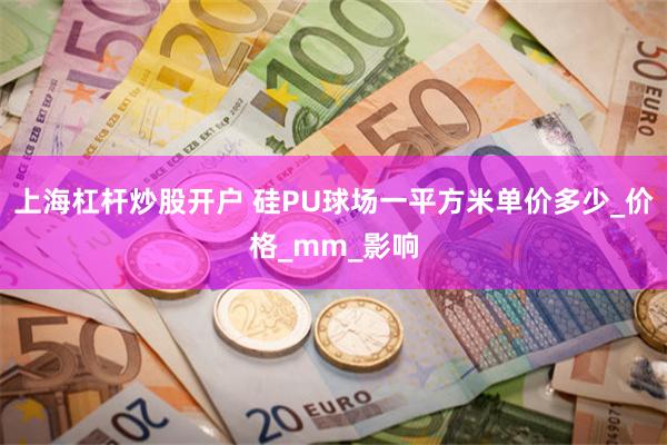 上海杠杆炒股开户 硅PU球场一平方米单价多少_价格_mm_影响