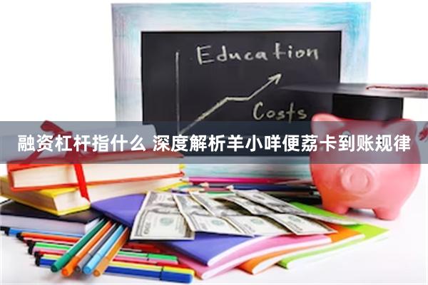融资杠杆指什么 深度解析羊小咩便荔卡到账规律