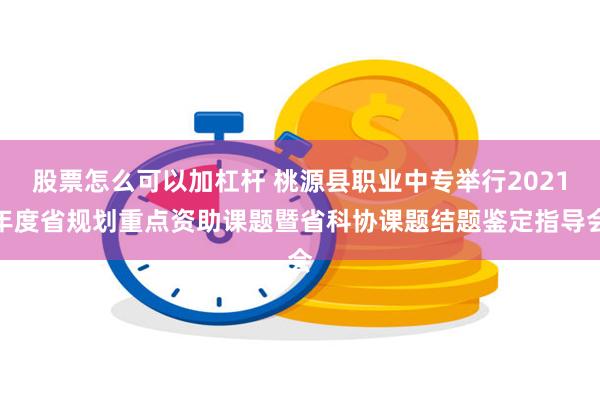股票怎么可以加杠杆 桃源县职业中专举行2021年度省规划重点资助课题暨省科协课题结题鉴定指导会